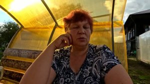Не могут найти причину... Кто-то ползает ночью в теплице...