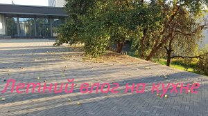 Порядок в шкафу на кухне. Первые заготовки к зиме.