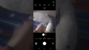Подпишитесь, пожалуйста. умоляю