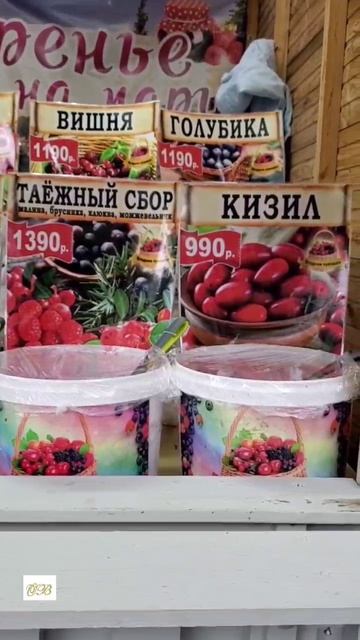 Путешествия