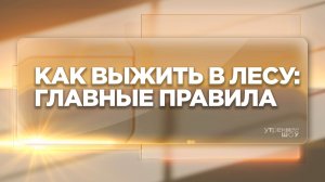 Как выжить в лесу, если вы заблудились | Владимир Бабицкий
