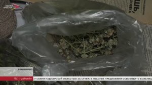 Группа ученых завершила ботаническую экспедицию в Южной Осетии