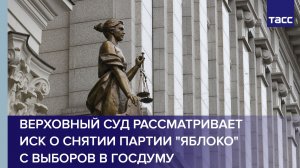 Верховный суд рассматривает иск о снятии партии «Яблоко» с выборов в ГД