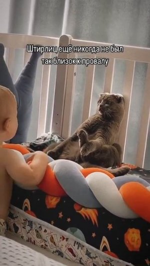 Притворился плюшевым