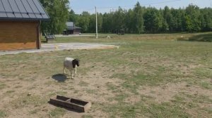 5 БРАТЬЕВ за 5 ДНЕЙ навели красоту сразу на 2-ух хуторах Главный проект этого года
