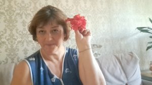 Готовлю ОВОЩИ//Обо всем понемного//Все как есть!👋🌝