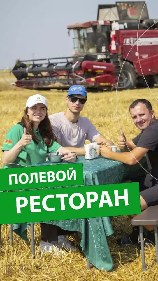 Моя ты нефтянка