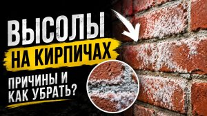 Высолы на кирпичах как убрать и что это такое