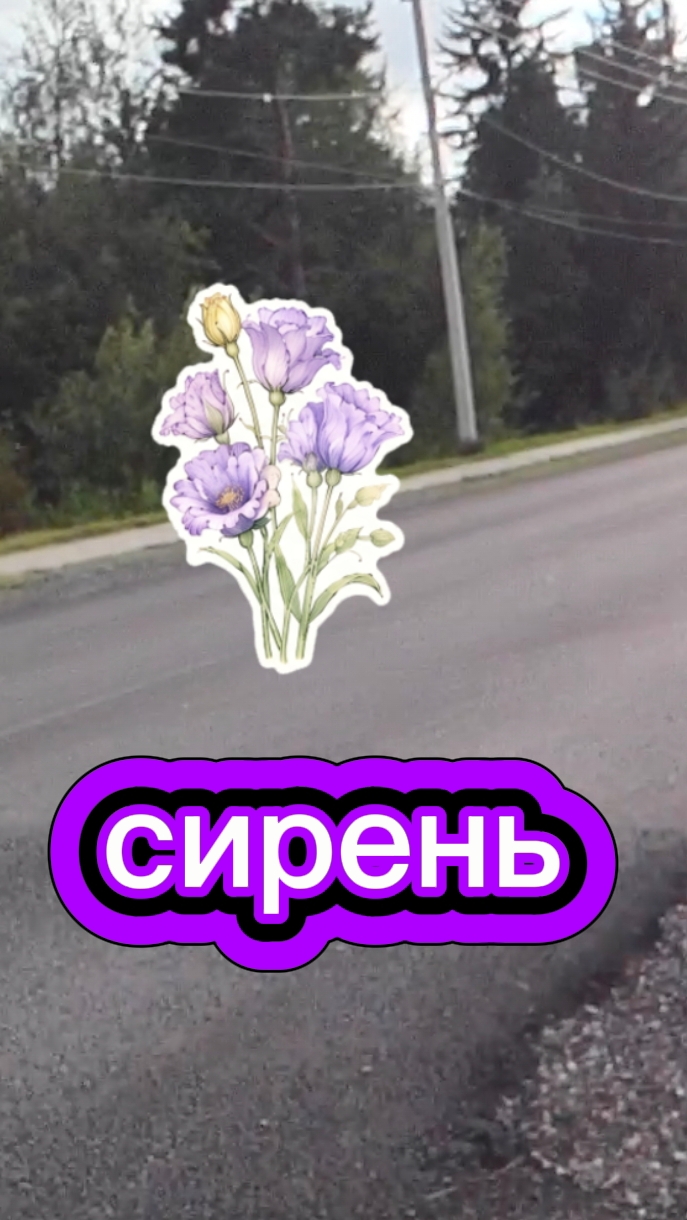 Сирень...