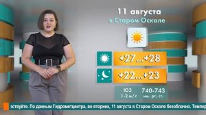 Погода в Старом Осколе на 11 августа