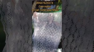 10.08.26