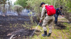 За неделю в Югре потушили 73 лесных пожара