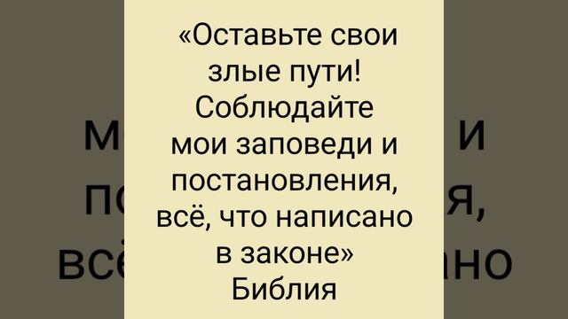 YouCut_20260805_234147679.mp4