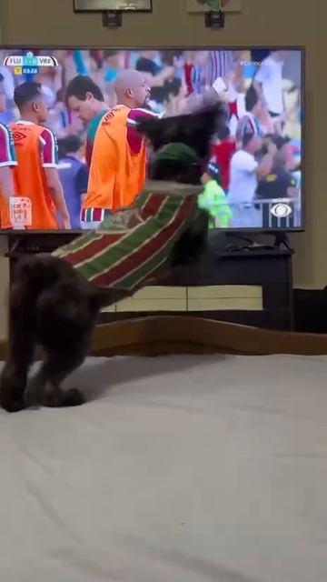 Болельщик со стажем