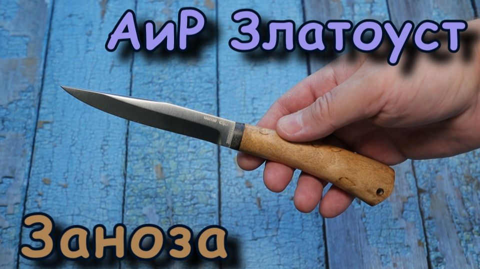 Заноза АиР Златоуст. Обзор.