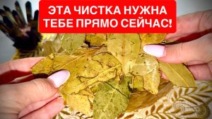 💥ЭТА ЧИСТКА НУЖНА ТЕБЕ ПРЯМО СЕЙЧАС!‼️