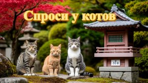 Спроси у котов