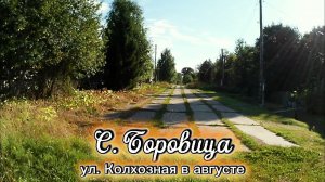 Село Боровица, улица Колхозная в августе.mp4