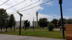 Прогулка. Часть 2. Разговор на важнуб тему. 10.08.2026