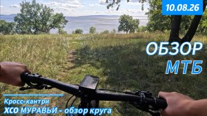 XCO МУРАВЬИ - обзор круга