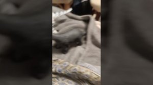 1000000868.mp4