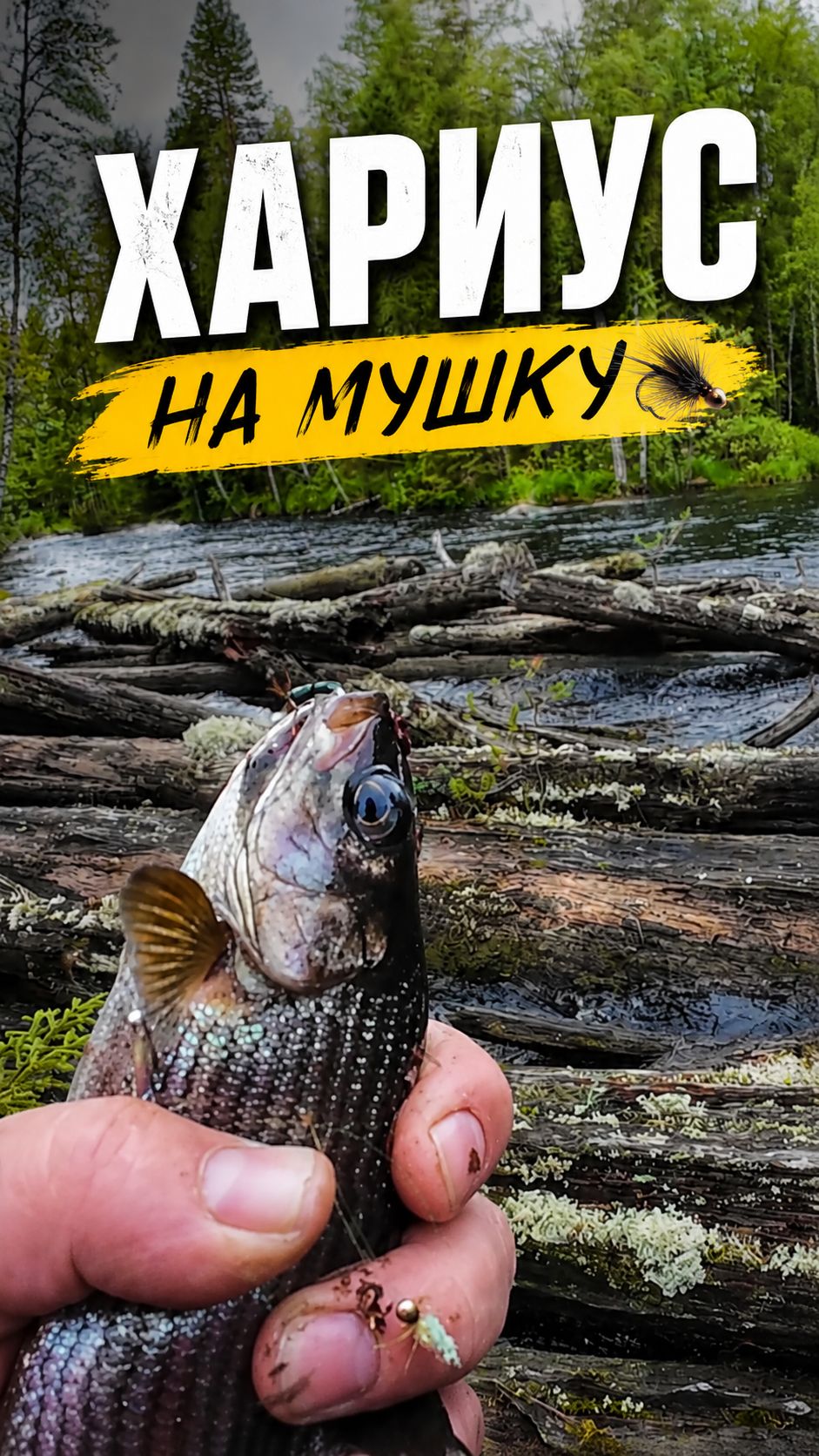 Хариус на мушку