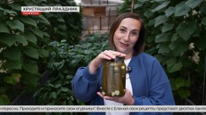«Хрустящий» праздник состоится в «Парке звёзд»
