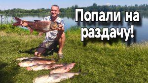 7 толстолобиков за один выход! Попали на раздачу. Рыбалка в августе