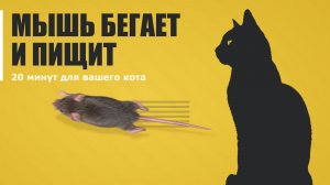 Кот не оторвётся: МЫШЬ бегает и ПИЩИТ по экрану | 20 минут для кошек
