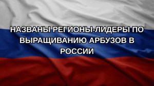 Названы регионы-лидеры по выращиванию арбузов в России