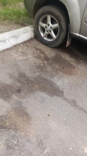 сидим в нисане