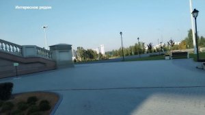 Любуемся гортензиями 🌺