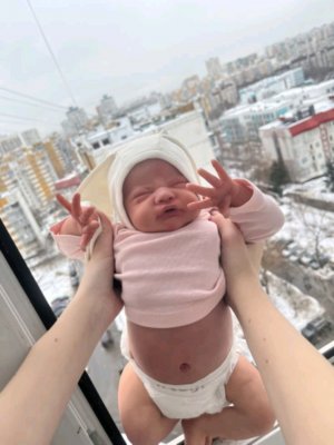Реборн сью сью