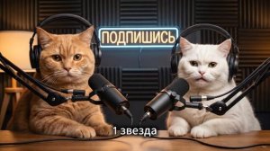 Коты ЧЕСТНО оценили людей! Кто получил 5 звёзд, а кто полный провал_