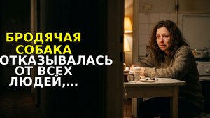 Бродячая Собака Отказывалась От Всех Людей, Пока Не Подошла Маленькая Девочка – То, Что Произошло