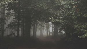 Dragon Age Origins Camp Theme by Inon Zur - Ambient Version