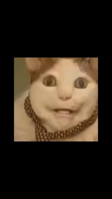 Бу испугался не бойся