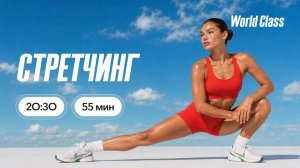 СТРЕТЧИНГ с Олегом Красиным | 10 августа 2026 | Онлайн-тренировки World Class