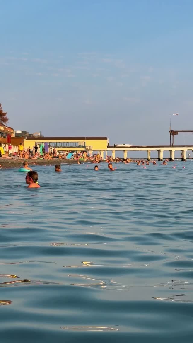 Адлер сегодня море чистое