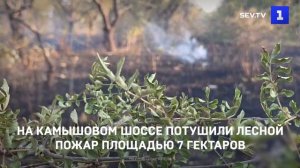 На Камышовом шоссе потушили лесной пожар площадью 7 гектаров
