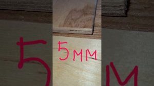 1000066679.mp4 (Собака слушает о распиловке с/пилой, технологии укладки л/фанеры в доме А-фрейм)
