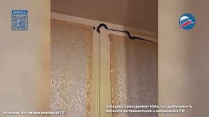 Незваный гость в окне: жительница Приморья случайно поймала змею