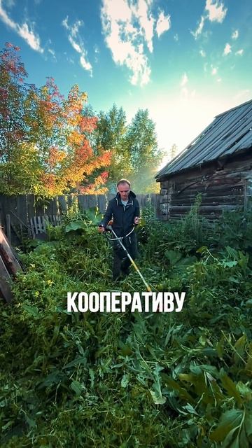 История диктатора Мугабе