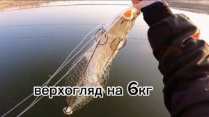 Поймал огромного Верхогляда, ПРИЕХАЛ ХОЗЯИН РЕКИ И ВЫГНАЛ!