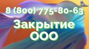 порядок закрытия ооо