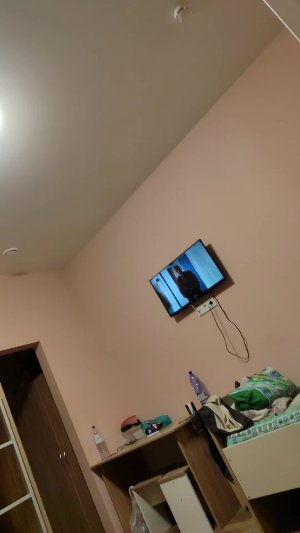 интрес