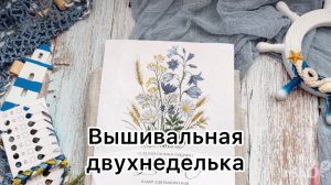 Вышивка крестиком за две недели|продвижения