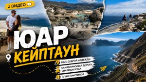 ЮАР, день 2: пингвины, самая красивая дорога в мире и мыс Доброй Надежды