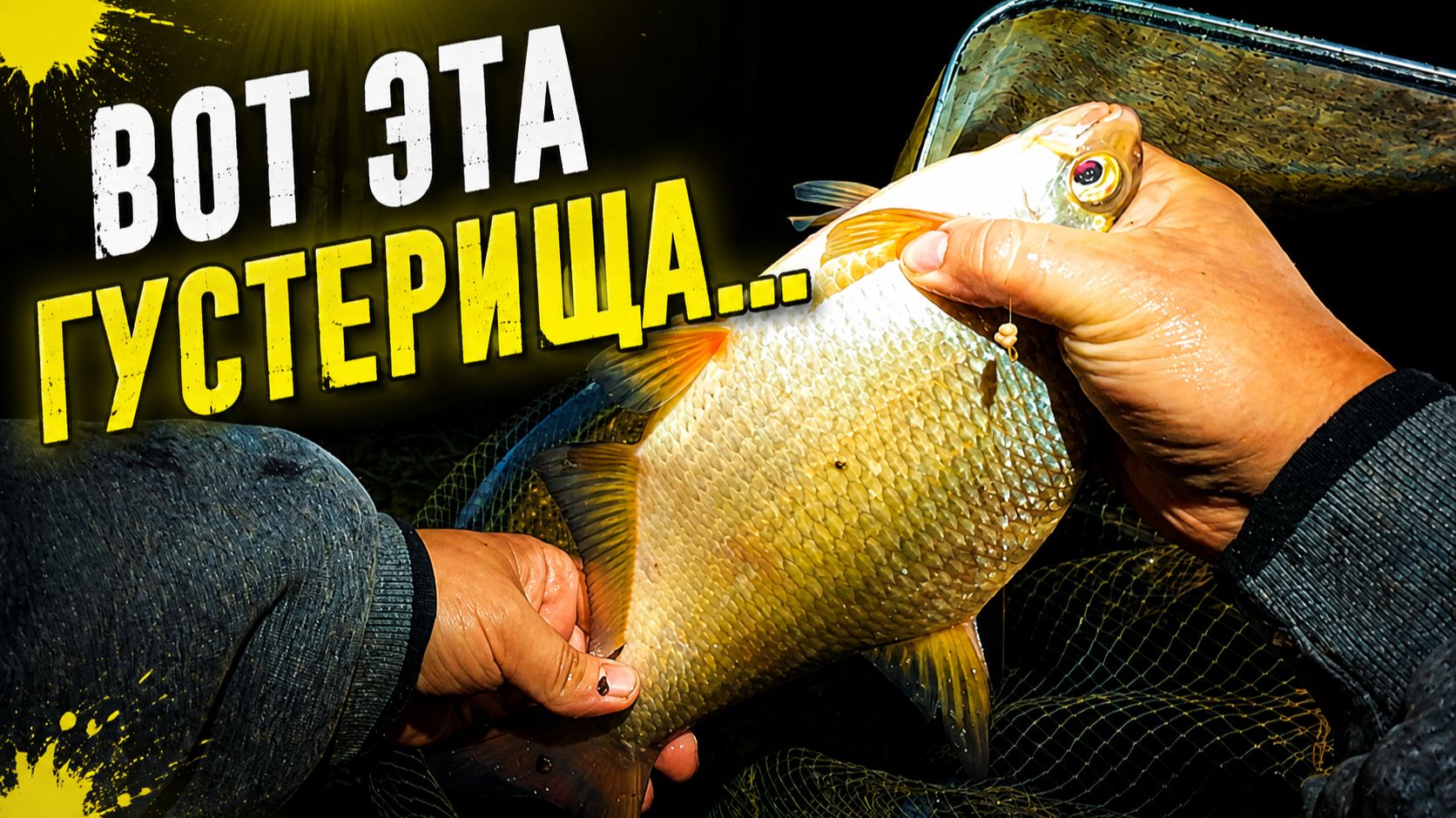 Рыбалка с ночевкой на реке Дон в конце июля. Ловля Крупной Густеры на Фидер.