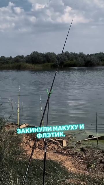 Думаете это ВСЕ? Точно нет 🙂↔️
